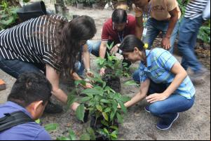 notícia: Prodepa comemora Dia Mundial das Florestas com programação ecológica