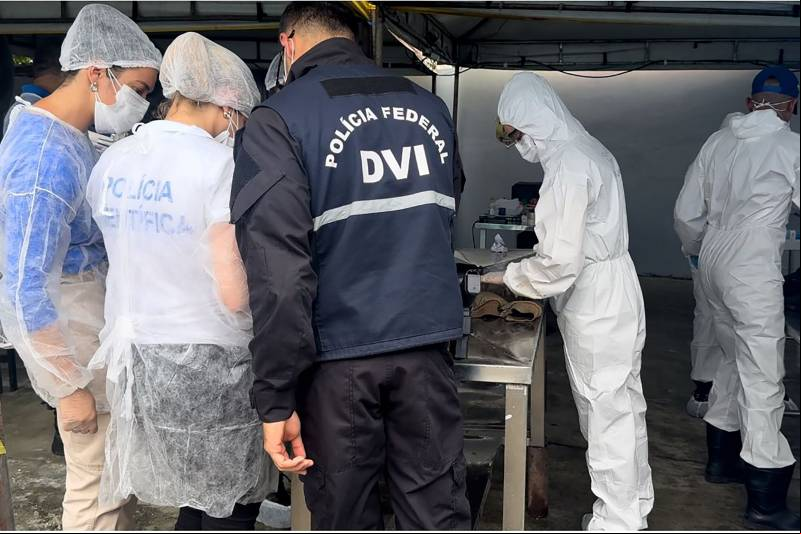 Trabalho integrado entre peritos da PF e PCEPA no atendimento das vítimas (2)