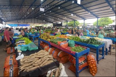 notícia: Nova Feira da Cohab beneficia produtores e consumidores em Santarém
